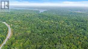 2039 COUNTY ROAD 620 | Apsley Ontario | Slide Image Nine
