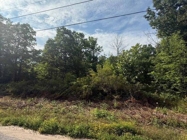 0 ROCKHAVEN ROAD Marmora Ontario, K0K 2M0 - Vacant Land For Sale