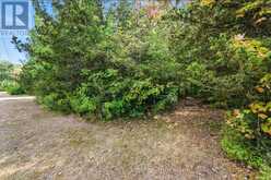 180 RIVERSIDE DRIVE | Campbellford Ontario | Slide Image Thirteen
