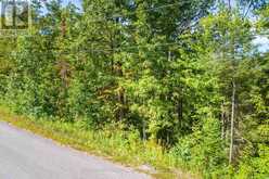 PT LOT 36 EDWINA DRIVE | Bobcaygeon Ontario | Slide Image Eight