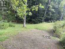 PT LOT 36 EDWINA DRIVE | Bobcaygeon Ontario | Slide Image Twenty-two