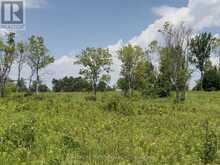 420 VICTORIA BEACH ROAD | Alnwick-Haldimand Ontario | Slide Image Ten