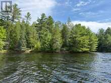 5420 CENTENNIAL LAKE ROAD | Greater Madawaska Ontario | Slide Image Eleven