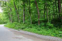 0 NORTHERN AVENUE | Bobcaygeon Ontario | Slide Image Seventeen