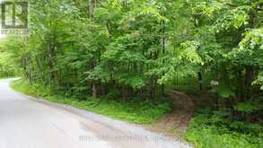 0 NORTHERN AVENUE | Bobcaygeon Ontario | Slide Image Three