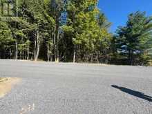PT 33A & PT 33B AUTUMN ROAD N | Trent Hills Ontario | Slide Image Eleven