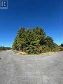PT 33A & PT 33B AUTUMN ROAD N | Trent Hills Ontario | Slide Image Two