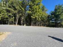 PT 33A & PT 33B AUTUMN ROAD N | Trent Hills Ontario | Slide Image Four