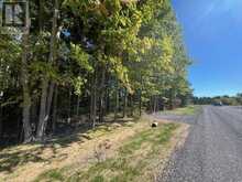 PT 33A & PT 33B AUTUMN ROAD N | Trent Hills Ontario | Slide Image Five
