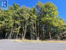 PT 33A & PT 33B AUTUMN ROAD N | Trent Hills Ontario | Slide Image Six