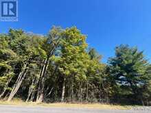 PT 33A & PT 33B AUTUMN ROAD N | Trent Hills Ontario | Slide Image Seven