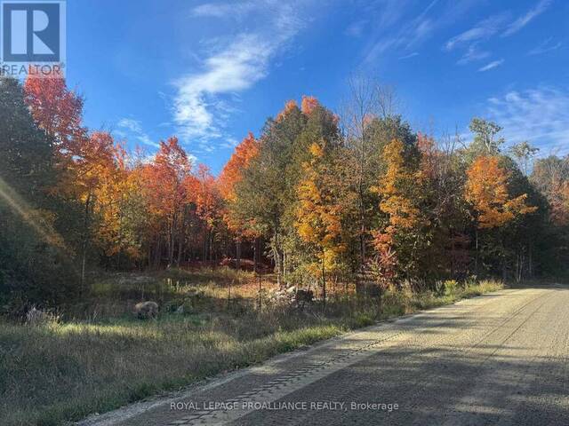 LOT 2 VANSICKLE ROAD N Bancroft Ontario, K0L 1C0 - Vacant Land For Sale
