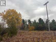 0 GODOLPHIN ROAD | Trent Hills Ontario | Slide Image Two