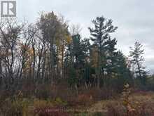 0 GODOLPHIN ROAD | Trent Hills Ontario | Slide Image Eight