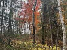 0 GODOLPHIN ROAD | Trent Hills Ontario | Slide Image Nine