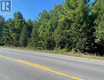 590 COUNTY RD 40 | Asphodel-Norwood Ontario | Slide Image Three
