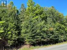 590 COUNTY RD 40 | Asphodel-Norwood Ontario | Slide Image Four