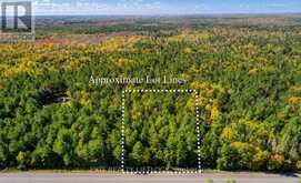 590 COUNTY RD 40 | Asphodel-Norwood Ontario | Slide Image One