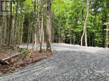 1350 HALIBURTON LAKE RD | Haliburton Ontario | Slide Image Twelve