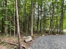 1350 HALIBURTON LAKE RD | Haliburton Ontario | Slide Image Two