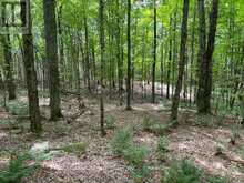 1350 HALIBURTON LAKE RD | Haliburton Ontario | Slide Image Eight