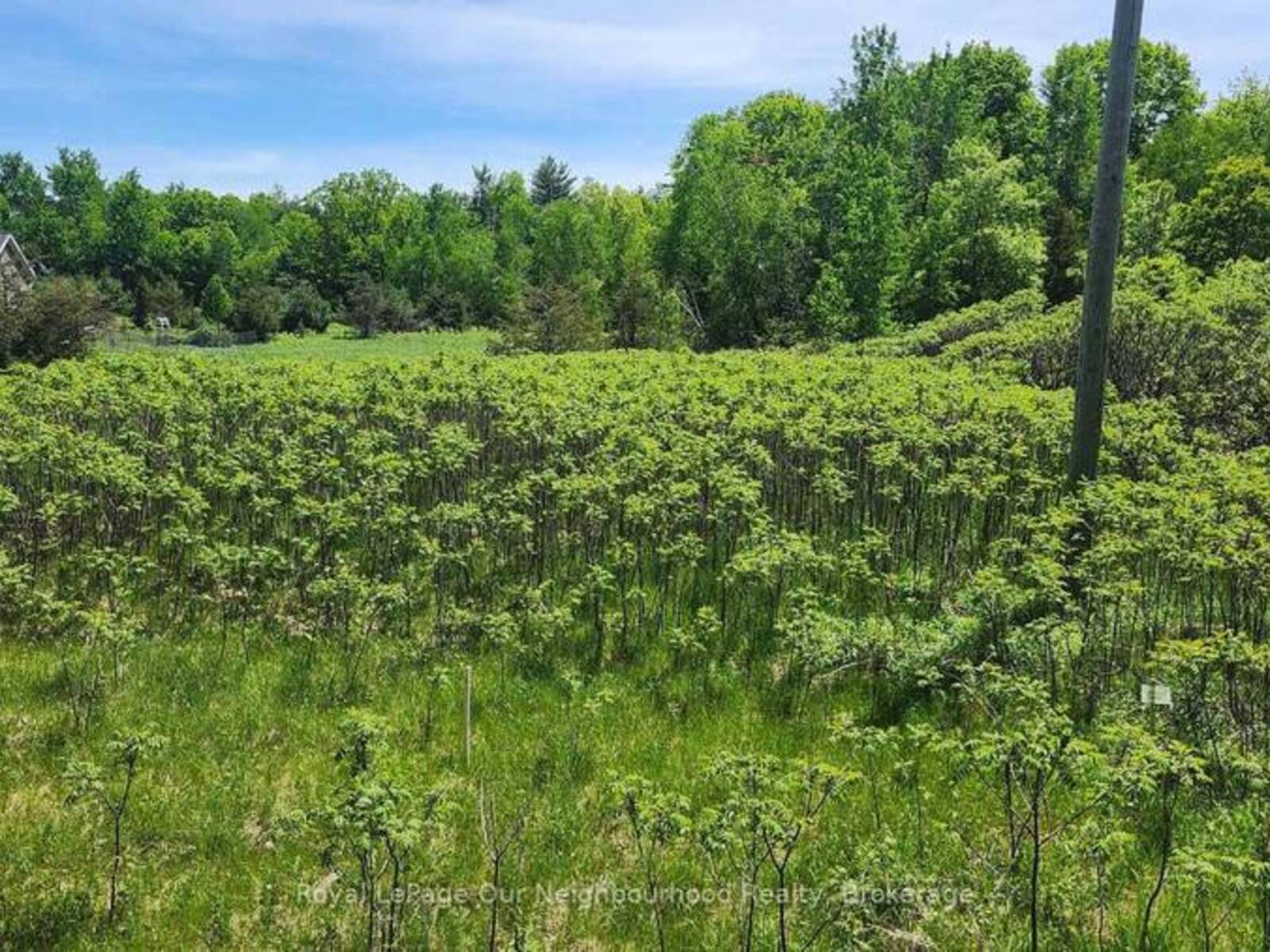 LOT 14 TRENT RIVER ROAD, Havelock-Belmont-Methuen, Ontario K0L 1Z0
