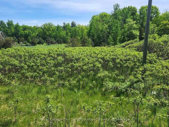 LOT 14 TRENT RIVER ROAD Havelock-Belmont-Methuen Ontario, K0L 1Z0 - Vacant Land For Sale