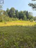 3995 BOULTER ROAD | Brudenell, Lyndoch and Raglan Ontario | Slide Image One