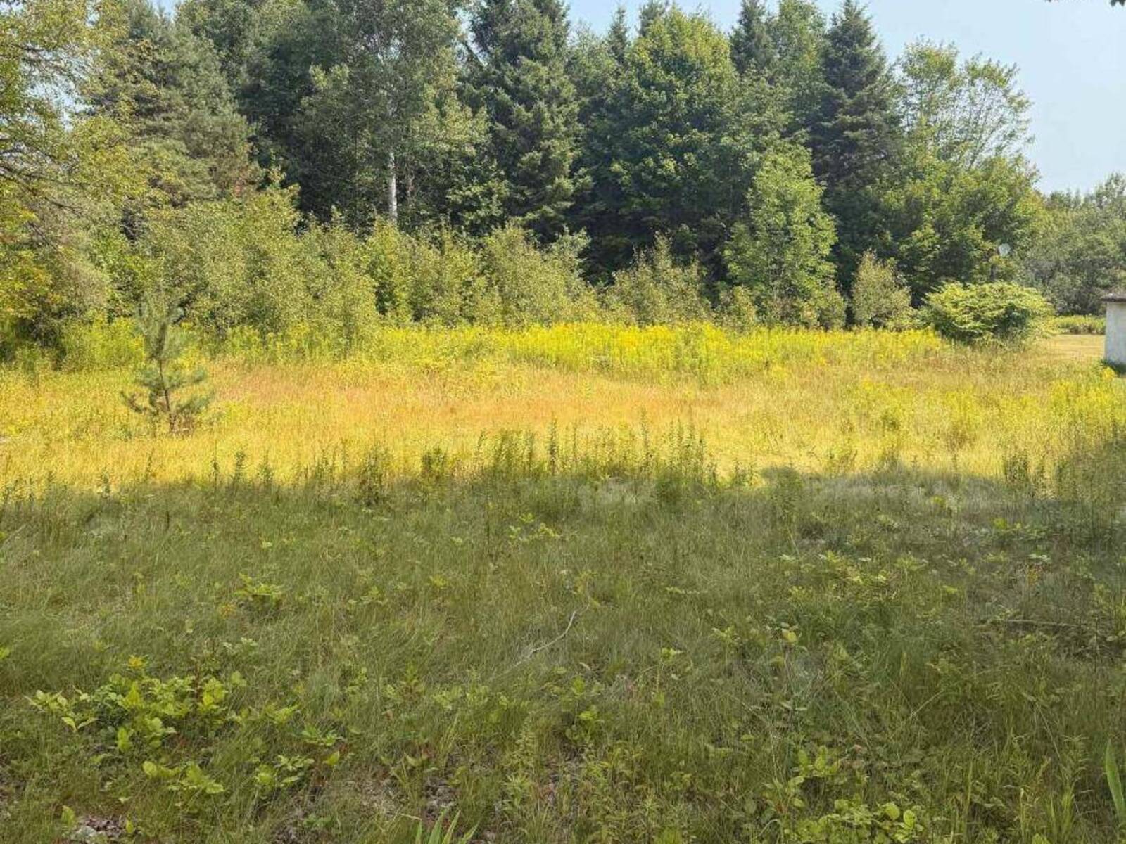 3995 BOULTER ROAD, Brudenell, Lyndoch and Raglan, Ontario K0L 1G0