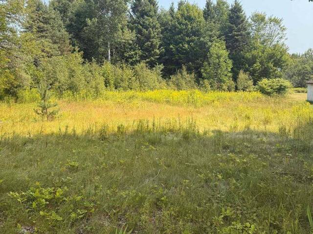 3995 BOULTER ROAD Brudenell, Lyndoch and Raglan Ontario, K0L 1G0 - Vacant Land For Sale