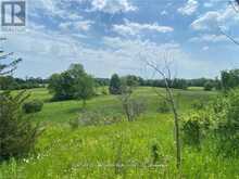 0 HWY 62 | Madoc Ontario | Slide Image Eleven