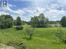 0 HWY 62 | Madoc Ontario | Slide Image Two