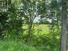 0 HWY 62 | Madoc Ontario | Slide Image Seven