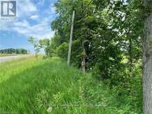 0 HWY 62 | Madoc Ontario | Slide Image Eight