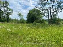 0 HWY 62 | Madoc Ontario | Slide Image Nine