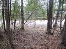 PTLT 37 TRENT VIEW DRIVE | Hastings Ontario | Slide Image Three