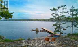 65 FIRE ROUTE 21 | North Kawartha Ontario | Slide Image Four