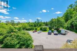 1 - 1579 ANSTRUTHER LAKE ROAD | Apsley Ontario | Slide Image Thirty-five