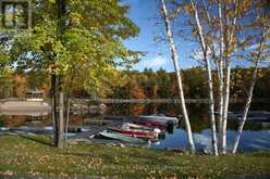 1 - 1579 ANSTRUTHER LAKE ROAD | Apsley Ontario | Slide Image Three