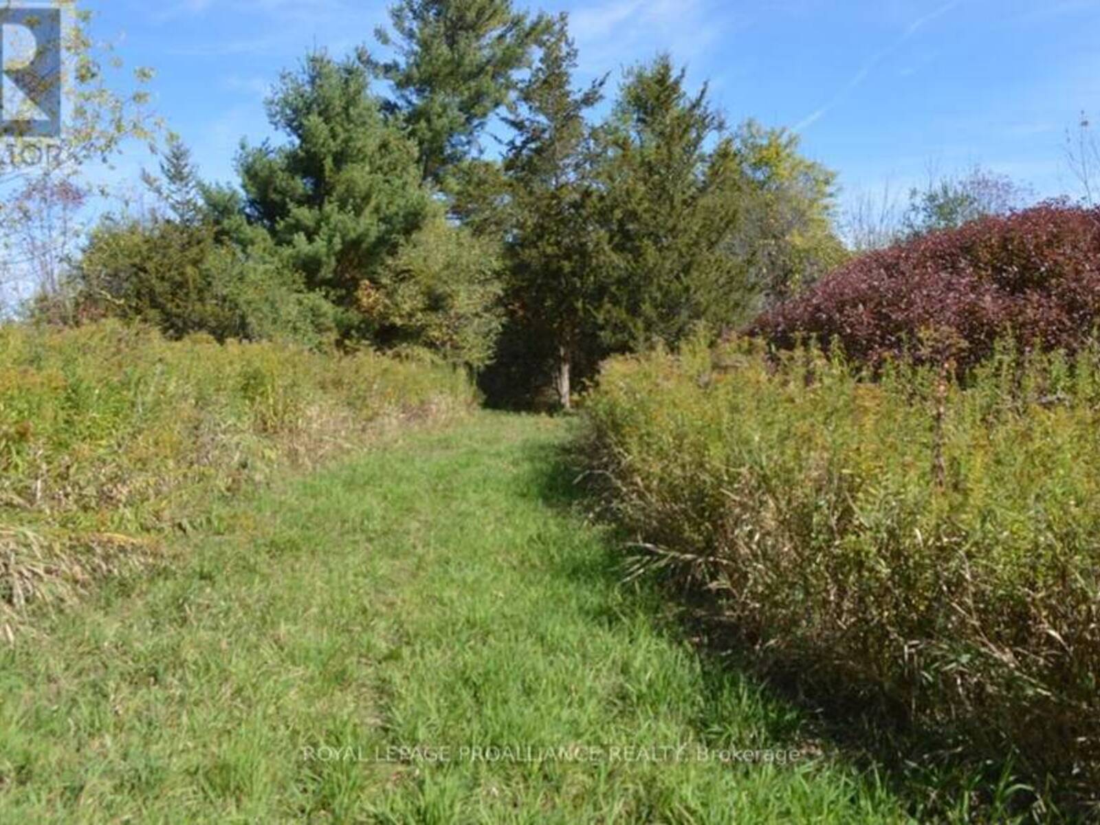 00 SCRIVER ROAD, Brighton, Ontario K0K 1H0