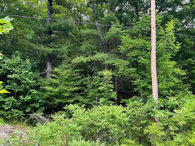 0 (PIN - 40264-0091) POTTER SETTLEMENT ROAD Tweed Ontario, K0K 3J0 - Vacant Land For Sale