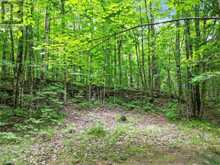1151 HARLOWE ROAD, R.R. #1 | Addington Highlands Ontario | Slide Image Thirty-nine