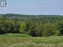 0 SHANNONVILLE ROAD | Corbyville Ontario | Slide Image Fourteen