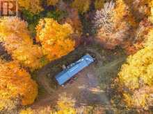 PT LT 23 & 24 COUNTY ROAD 24 | Alnwick-Haldimand Ontario | Slide Image Twelve