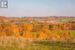 PT LT 23 & 24 COUNTY ROAD 24 | Alnwick-Haldimand Ontario | Slide Image Five
