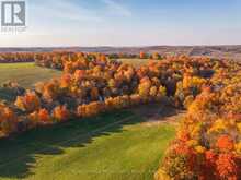 PT LT 23 & 24 COUNTY ROAD 24 | Alnwick-Haldimand Ontario | Slide Image Seven