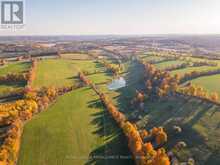PT LT 23 & 24 COUNTY ROAD 24 | Alnwick-Haldimand Ontario | Slide Image Eight