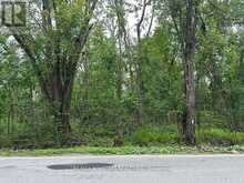 20 LOT TATE'S BAY ROAD | Bobcaygeon Ontario | Slide Image Four
