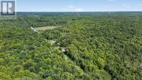 344 QUIN-MO-LAC ROAD | Madoc Ontario | Slide Image Five