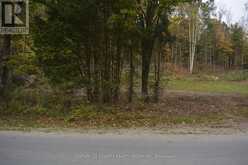 314 AIRPORT ROAD | Bancroft Ontario | Slide Image Twelve